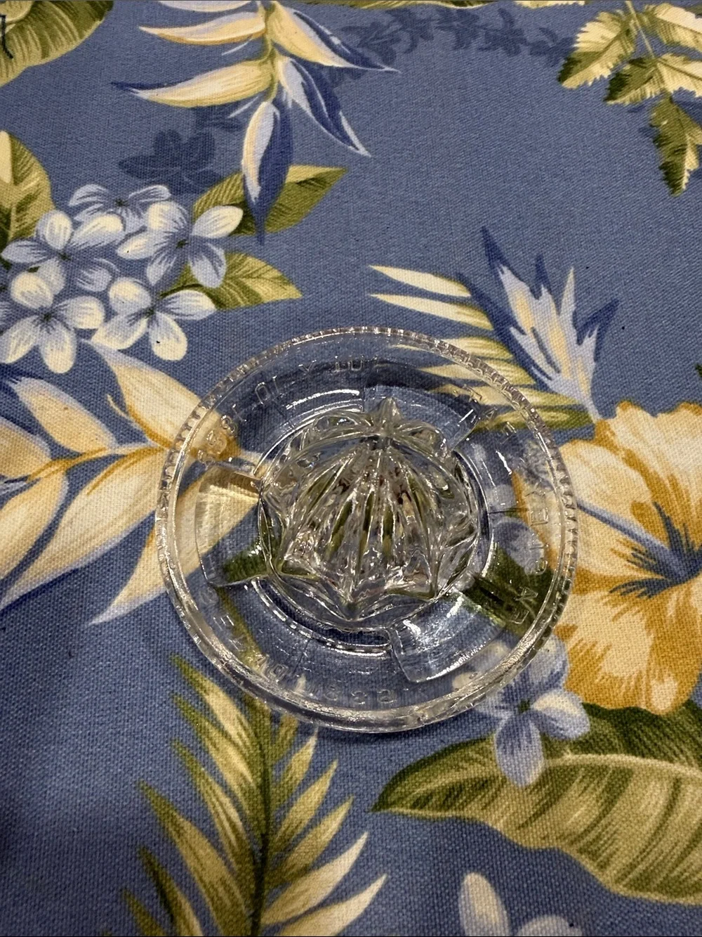 Clear Glass Citrus Press - Classic Handheld Reamer